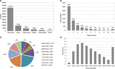 Unraveling the Root Proteome Changes and Its Relationship to Molecular Mechanism Underlying Salt Stress Response in Radish (Raphanus sativus L.)